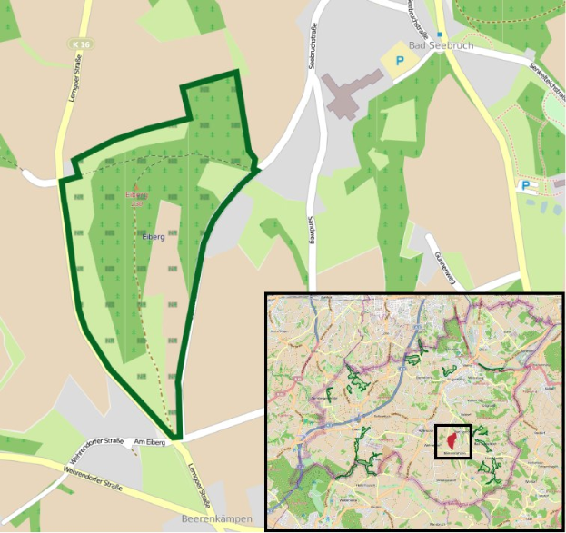 Detailierte Stadtkarte, die einen zentralen grünen Bereich als geplanten Entwicklungsstandort markiert, umgeben von Straßen, Gebäuden und Sehenswürdigkeiten.