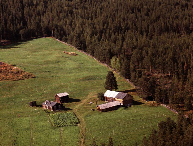 Eine Luftaufnahme eines Hofes in einem grünen Feld, umgeben von Häusern, Pflanzen, Gras, Pfählen und Bäumen, mit Text am unteren Bildrand.