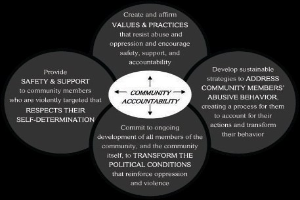 Ein Diagramm mit der Überschrift "Gemeinschaftliche Rechenschaft" mit einem zentralen Kreis und drei sich überschneidenden Kreisen, die durch Pfeile verbunden sind, alles in starken, leuchtenden Farben.