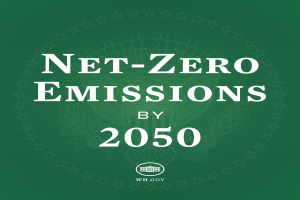 Fetter weißer Text "net-zero Emissionen bis 2050" auf einem festen grünen Hintergrund.