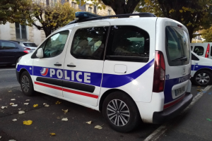 Ein Polizeiwagen auf einer von Gebäuden, Bäumen und welken Blättern gesäumten Straße geparkt.