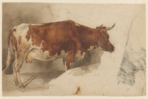 Eine braune und weiße Kuh steht aufrecht mit erhobenem Kopf und gespitzten Ohren neben einer anderen Kuh auf einem Blatt Papier, beide Kühe zeigen in verschiedene Richtungen und wirken zufrieden.