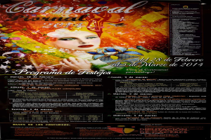 Eine Frau in einem bunten Kleid, die fröhlich lächelt, umgeben von fettem schwarzem Text, der "Carnaval Festival 2014" auf einem leuchtend gelben Hintergrund liest.