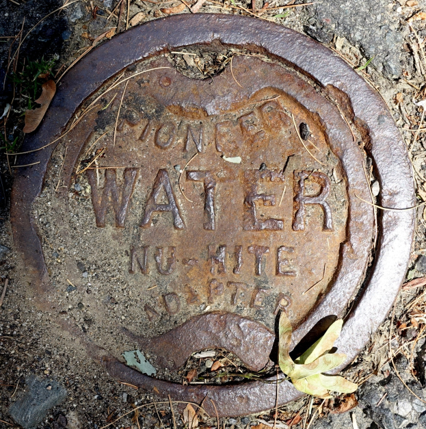 Abflussdeckel mit Aufschrift "Wasser" auf dem Boden mit trockenen Blättern und Gras drumherum.