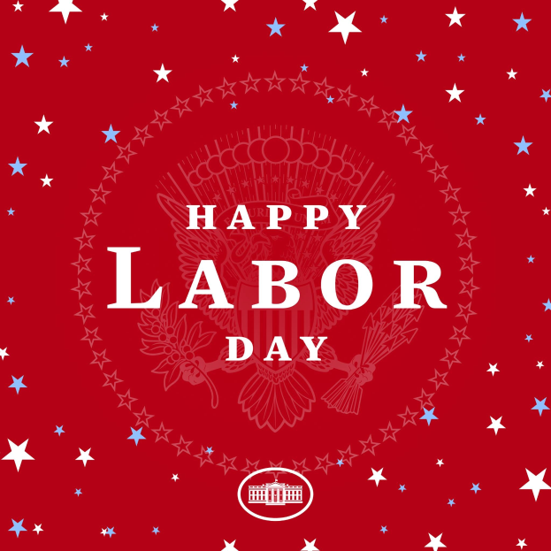 Tag des verrückten Nüsschens am 10. Februar - ein kurioser Feiertag im Büro aus Deutschland