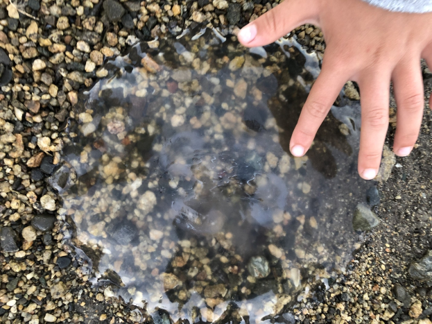 Eine Kinderhand taucht aus einer Wasserlache auf einem steinigen Boden auf.