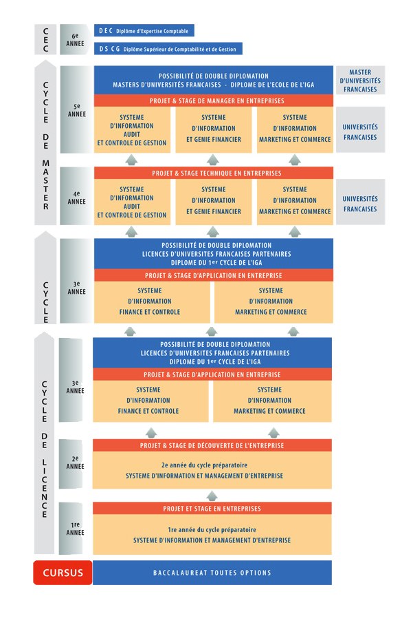Diagramm, das die organisatorische Struktur eines Unternehmens mit interconnected boxes darstellt, die die Stufen des Geschäfts growths and developments darstellen, begleitet von Text, der die Rollen und Verantwortlichkeiten beschreibt.