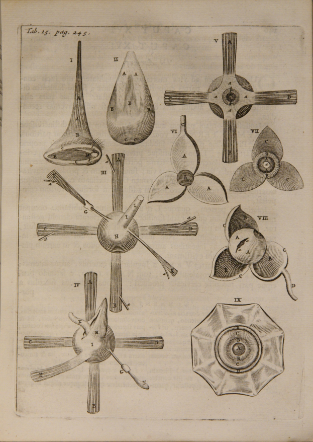 Ein altes Buchblatt mit detaillierten Zeichnungen verschiedener Propeller, das ihre Blätter und Komponenten zeigt.