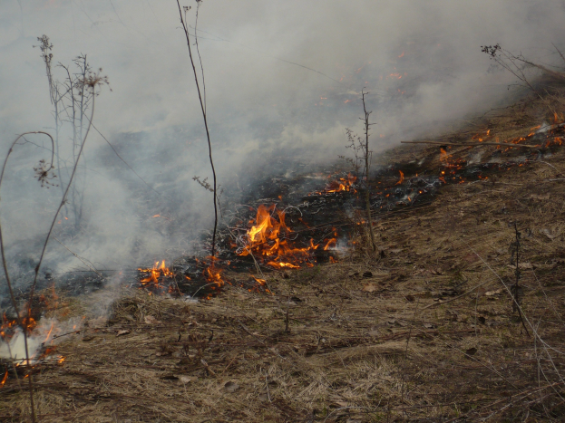 Verschreibung Feuer brennt in einem Grasfeld mit Rauch in den Himmel.