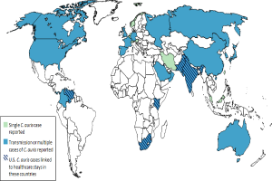 Eine Weltkarte, die die Anzahl der Coronavirus-Fälle in verschiedenen Ländern anzeigt, mit blauen und grünen Bereichen, die die Fallzahlen pro Land angeben, sowie erklärendem Text auf der linken Seite.