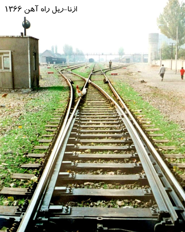 Ein Vogel sitzt auf einem Bahnsteig umgeben von Gras und Steinen, mit Menschen in der Nähe, Bäumen, Polen, Gebäuden und dem Himmel im Hintergrund und Text oben.
